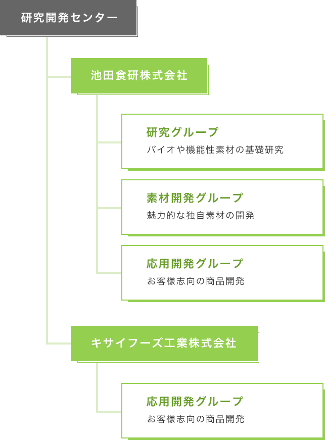 研究領域・体制