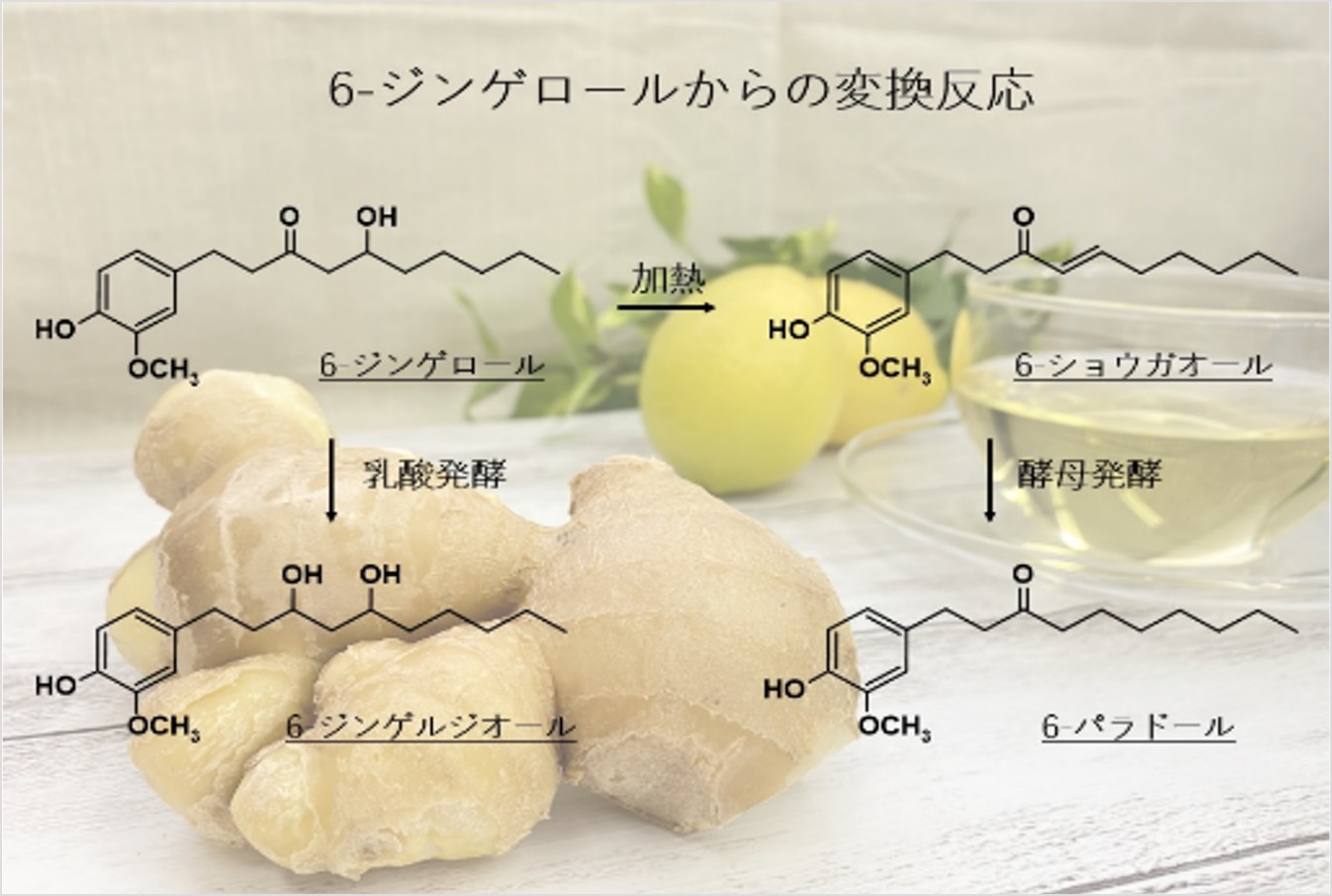 機能性素材